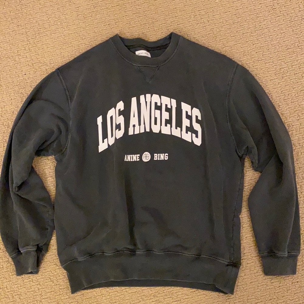 Anine Bing sweatshirt